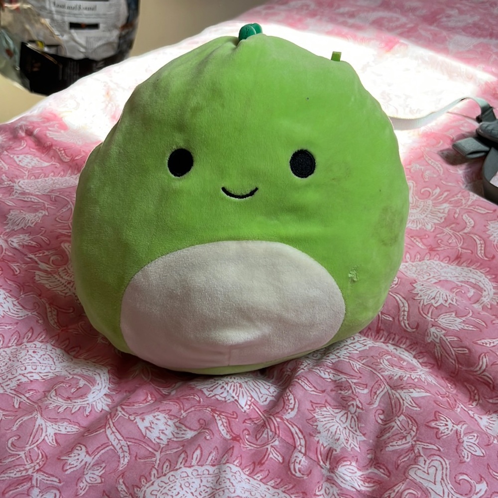 Small squishmallow